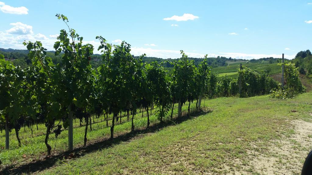 Cascina Rollone Villa Rocchetta Tanaro Eksteriør bilde